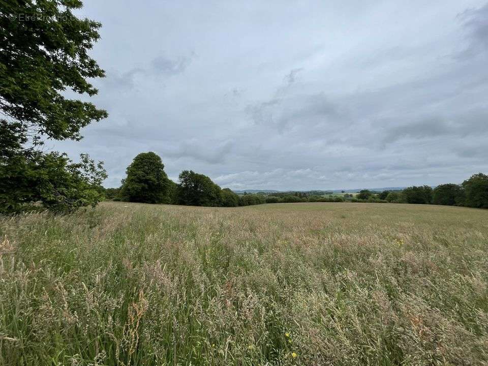 Terrain à SOUDAINE-LAVINADIERE