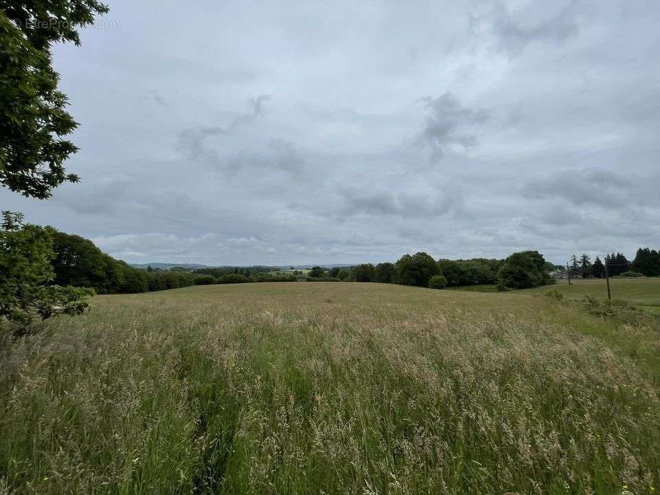 Terrain à SOUDAINE-LAVINADIERE