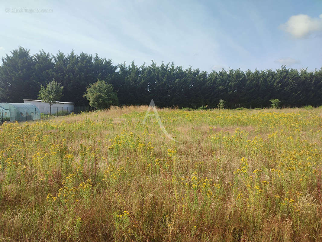 Terrain à NOUAN-LE-FUZELIER