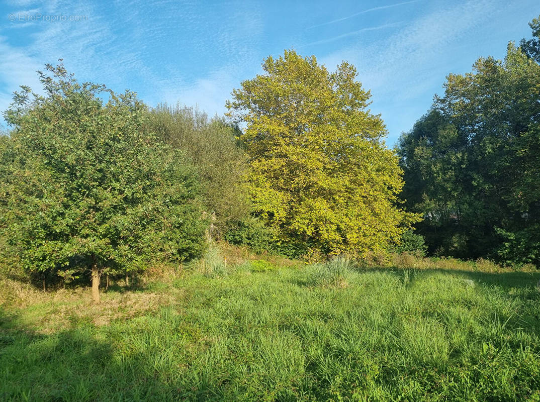 Terrain à SAINT-MARTIN-DE-HINX