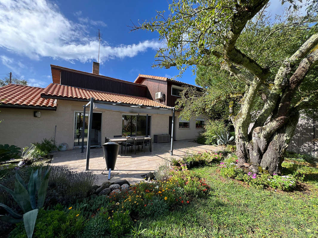 Maison à SAINT-MEDARD-EN-JALLES