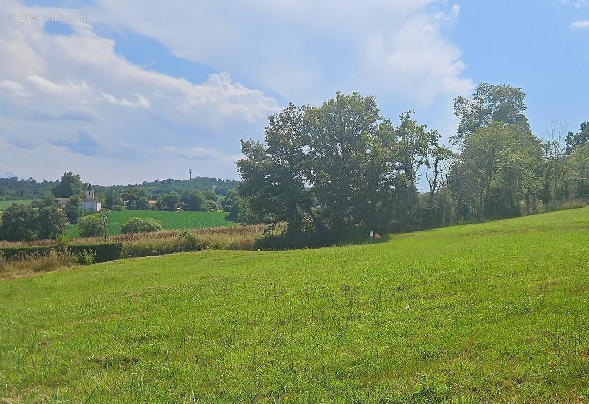 Terrain à MONTSOUE