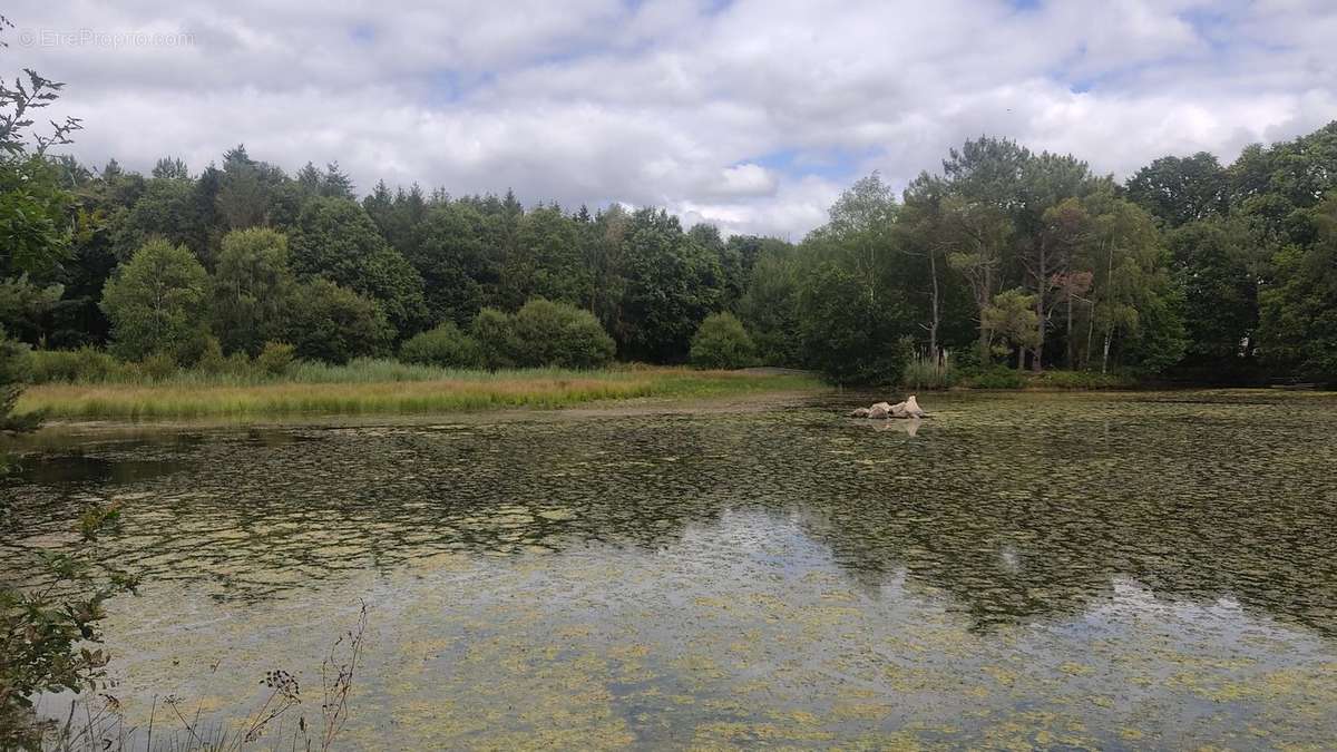 Terrain à SAINT-UNIAC