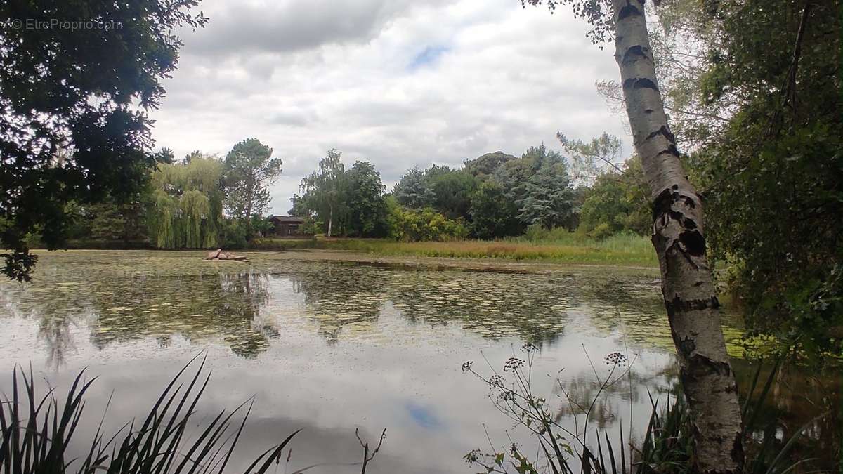 Terrain à SAINT-UNIAC