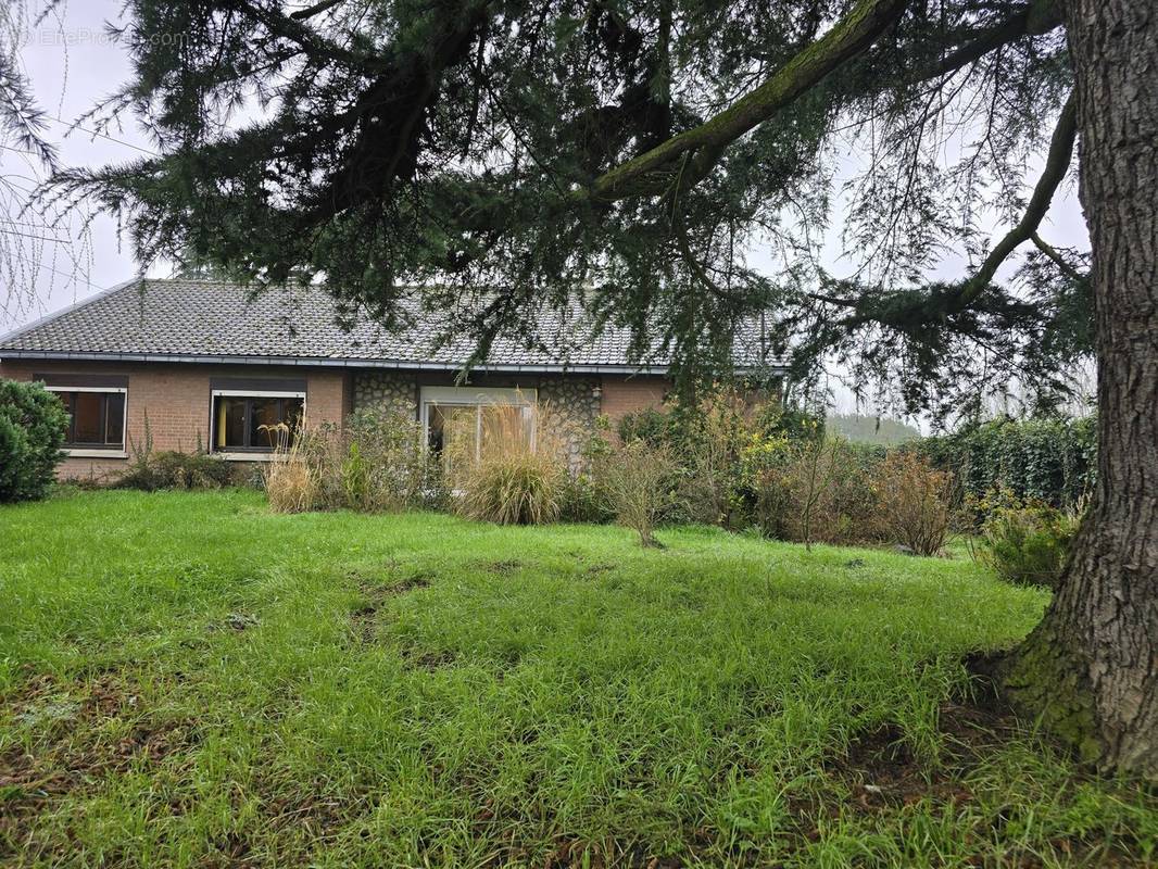 Maison à CONDE-SUR-L&#039;ESCAUT