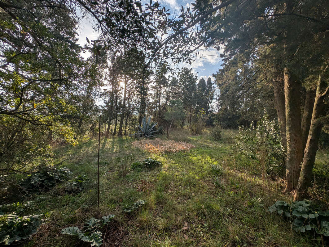 Terrain à AGDE