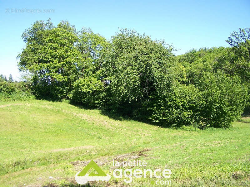 Terrain à AIGURANDE