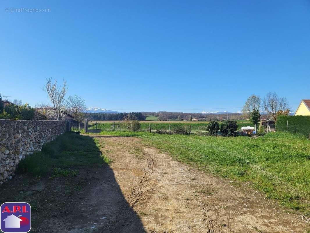 Terrain à LES PUJOLS