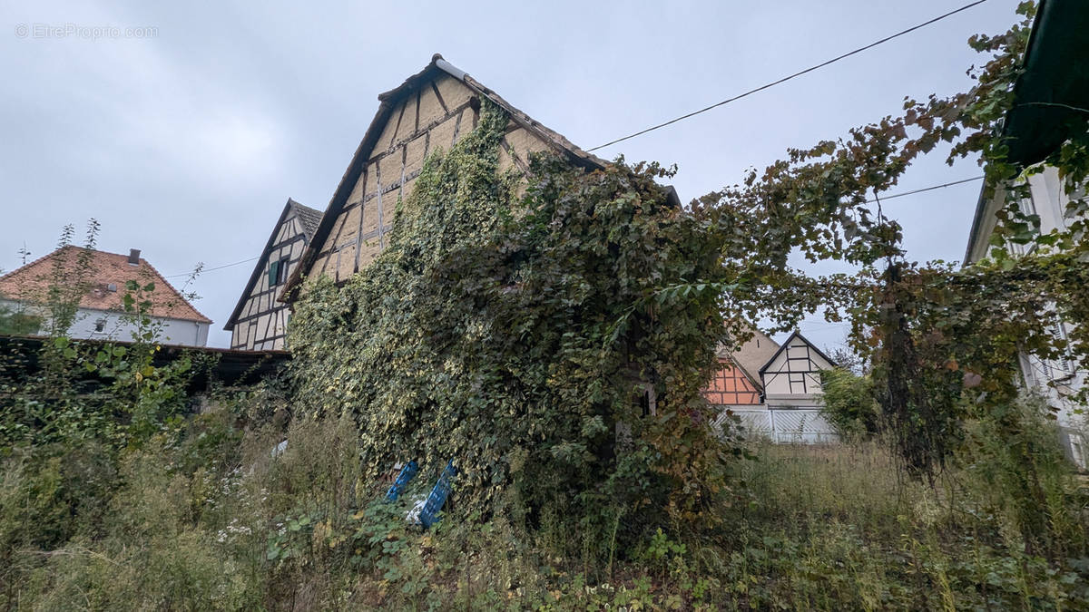 Maison à JEBSHEIM