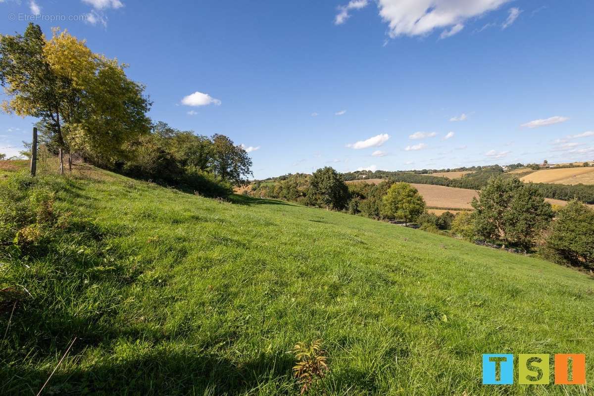 Terrain à MONTEGUT-BOURJAC