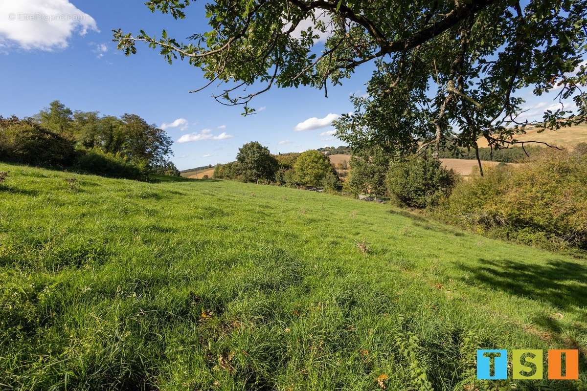 Terrain à MONTEGUT-BOURJAC