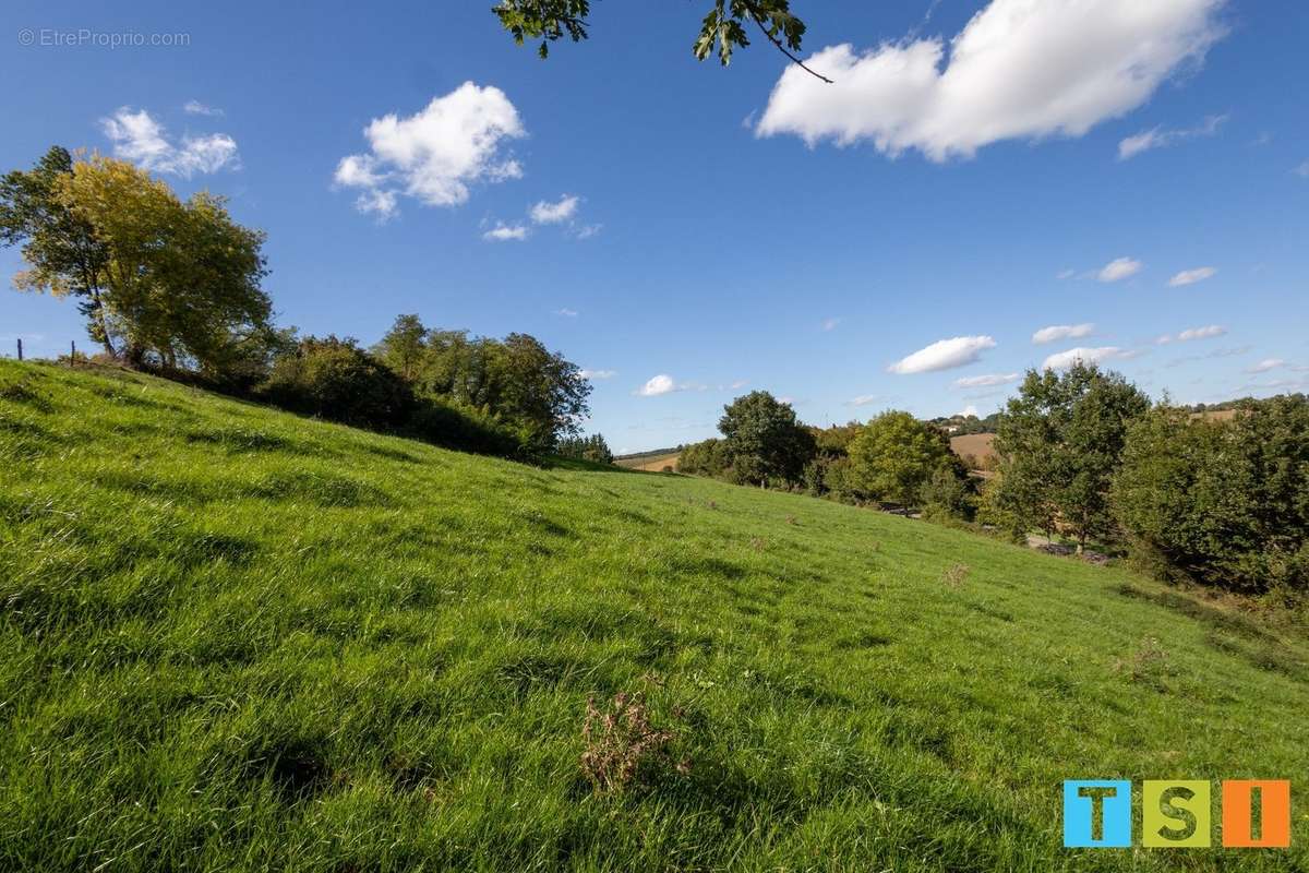 Terrain à MONTEGUT-BOURJAC