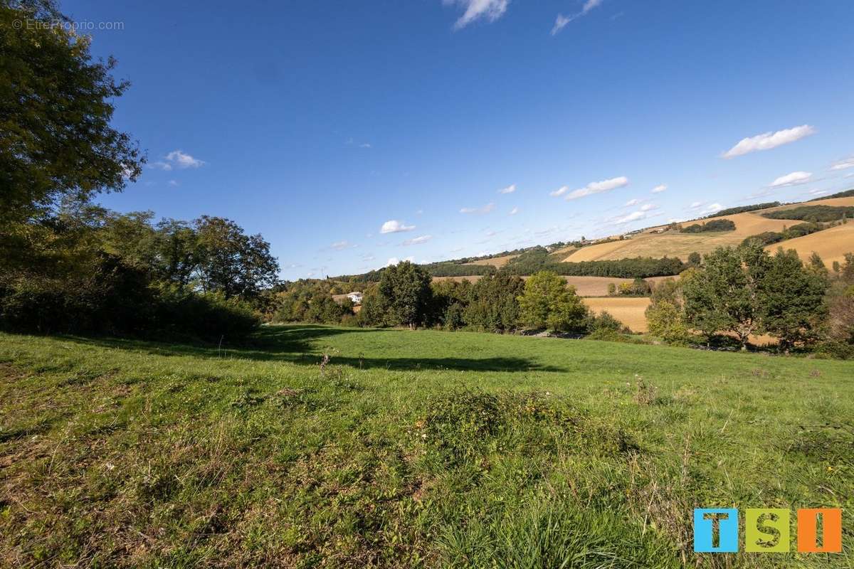 Terrain à MONTEGUT-BOURJAC