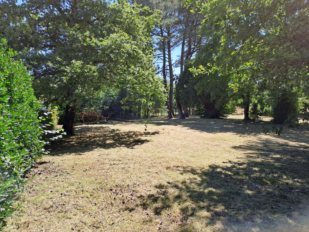 Terrain à LEOGNAN