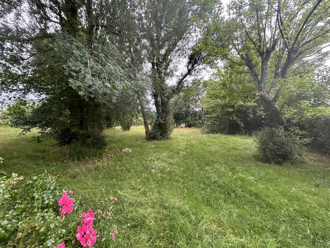 Terrain à LEOGNAN