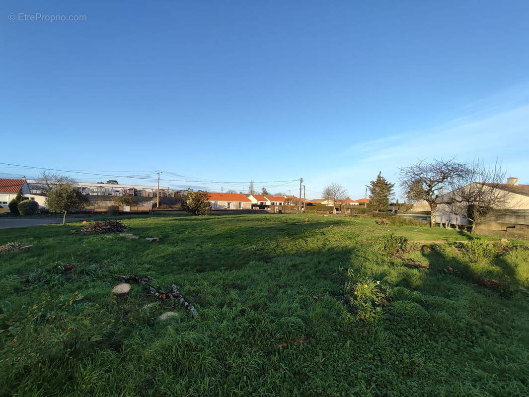 Terrain à SAINT-PHILBERT-DE-GRAND-LIEU