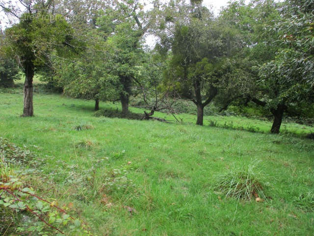 Appartement à COUSSAC-BONNEVAL