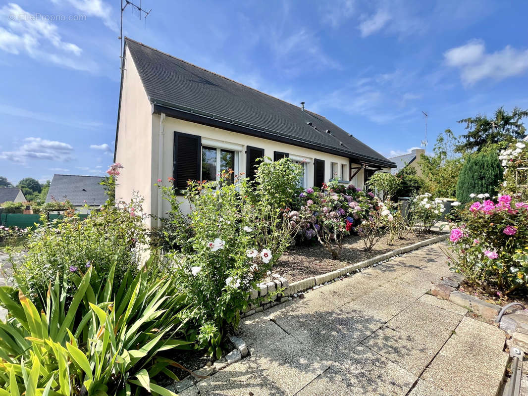 Maison à ANGERS