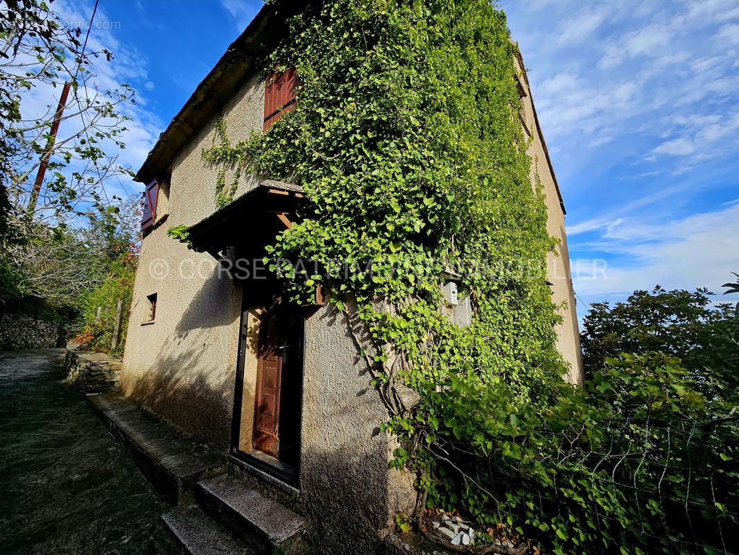 Maison à BRANDO