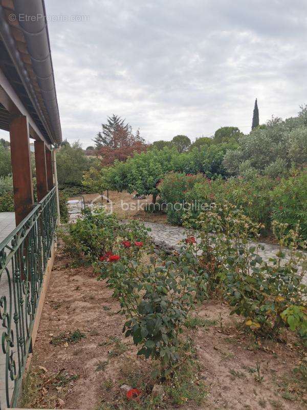 Maison à DOUZENS