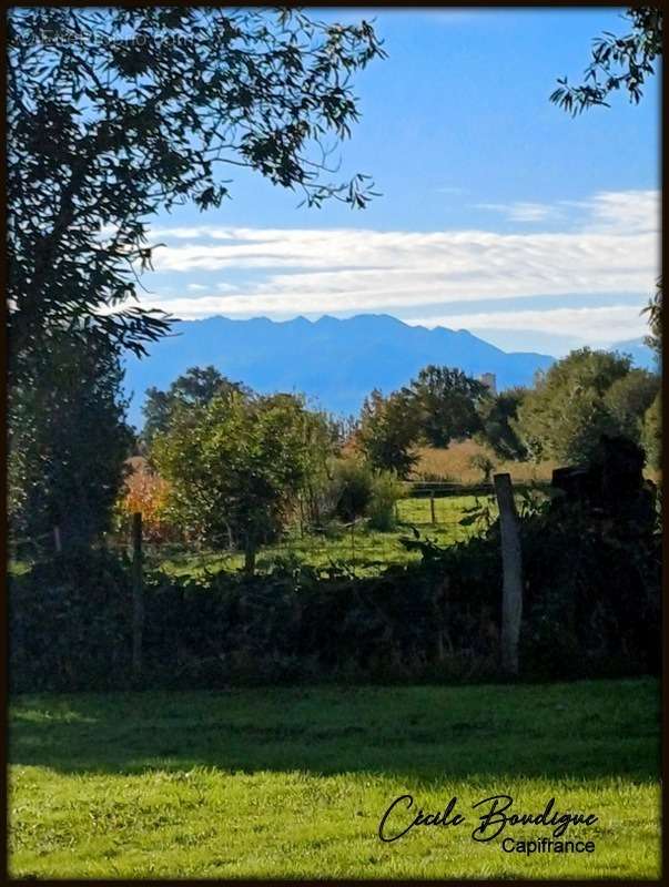 Terrain à ESLOURENTIES-DABAN