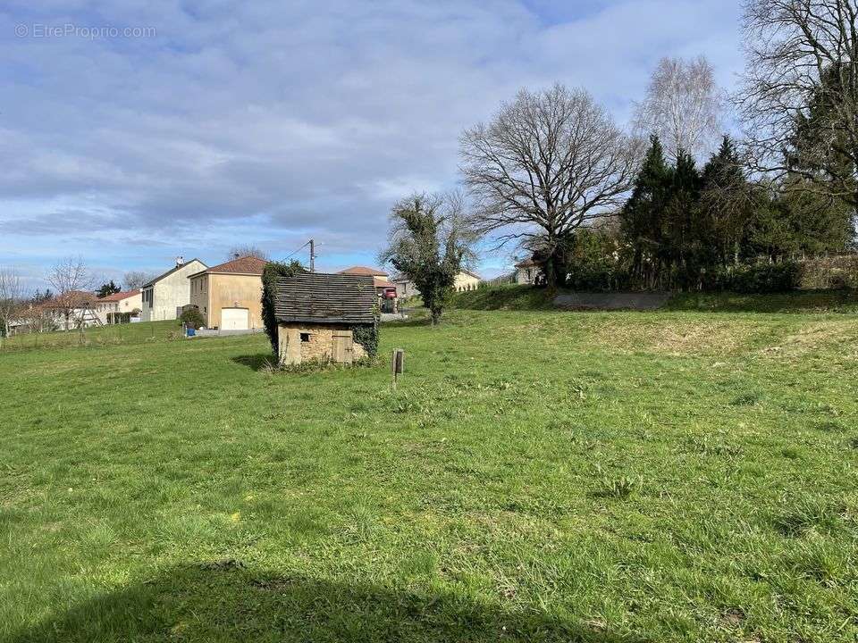 Terrain à CHATEAUNEUF-LA-FORET