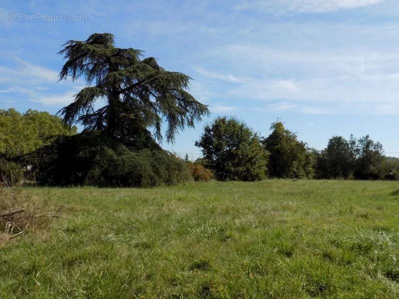 Terrain à L&#039;ISLE-DE-NOE