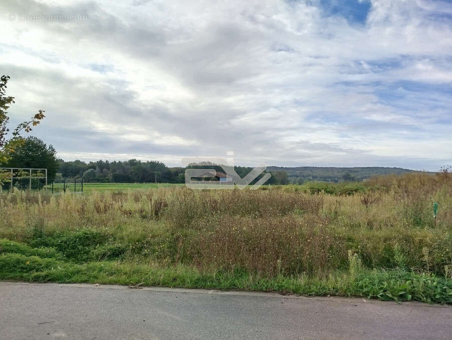 Terrain à JONCHERY-SUR-VESLE