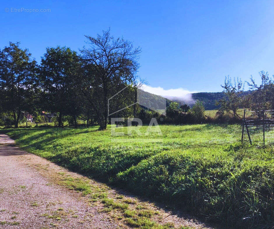 Appartement à SANCEY-LE-GRAND