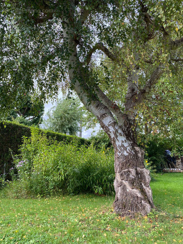 Maison à ARNIERES-SUR-ITON