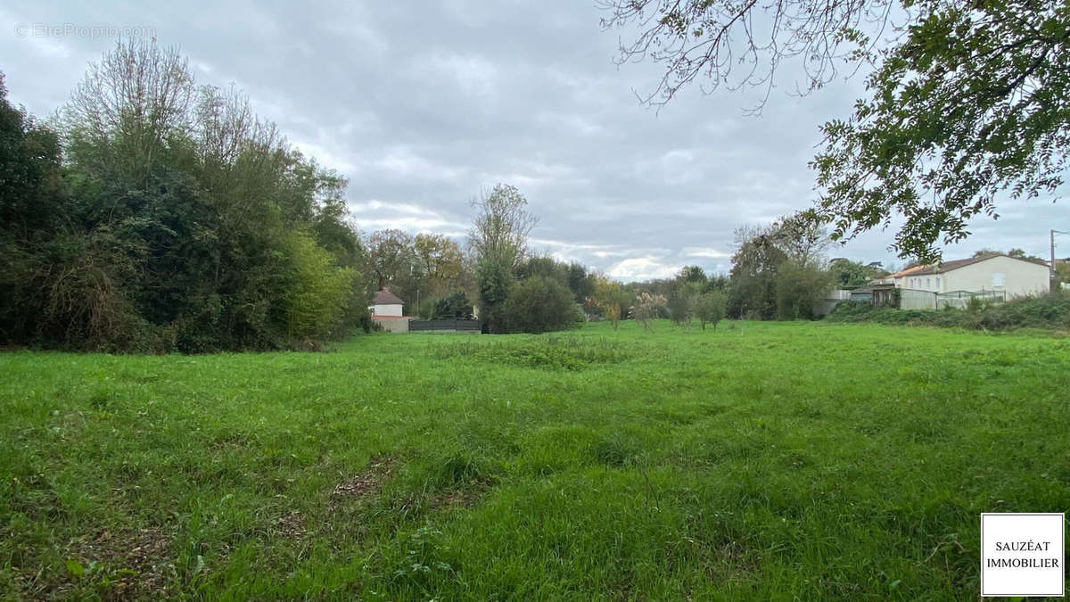 Terrain à LE CHAMP-SAINT-PERE