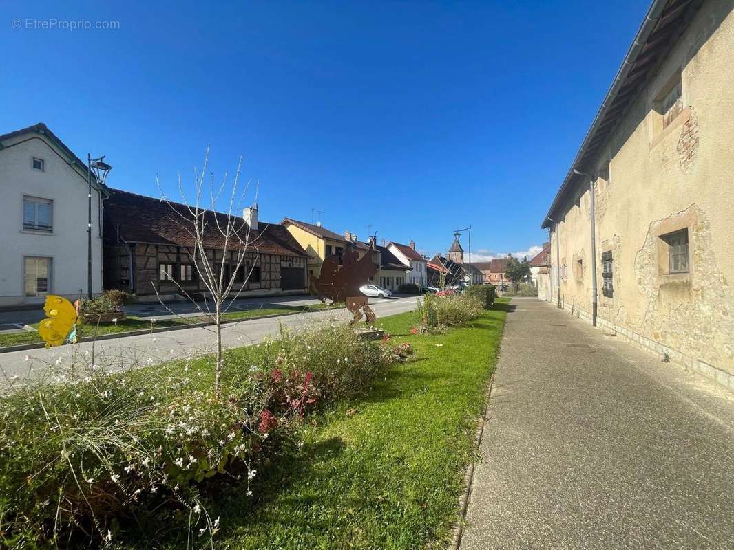 Photo 8 - Maison à MONTPONT-EN-BRESSE