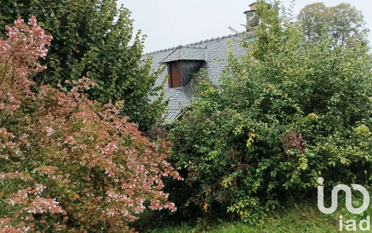 Photo 7 - Maison à CORNIL