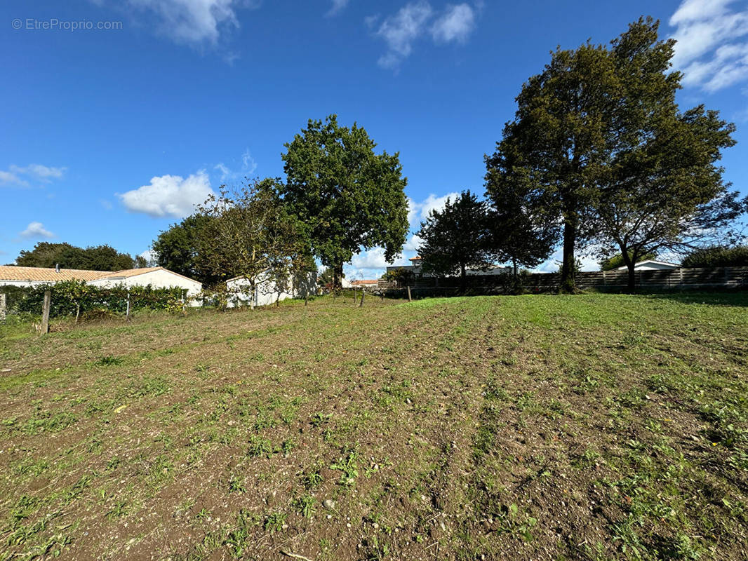 Terrain à AIZENAY