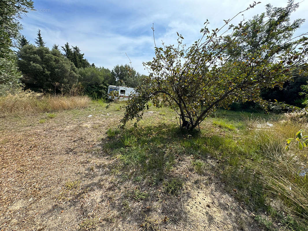 Terrain à OLLIOULES