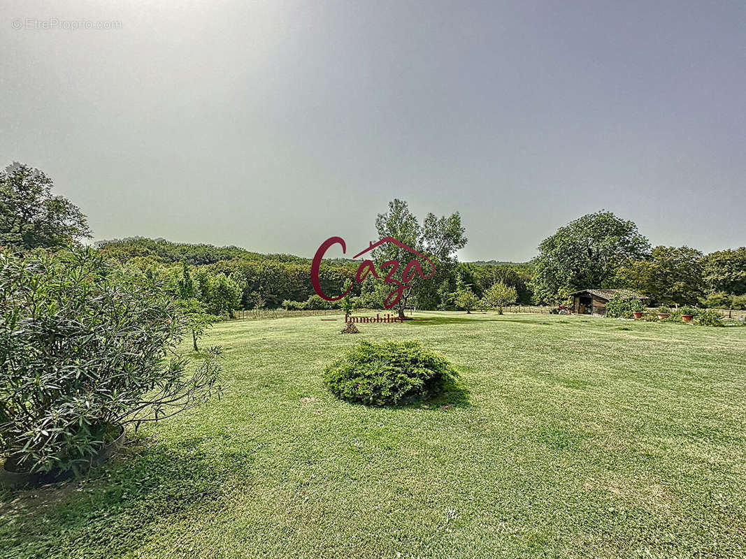 Maison à LOUPES