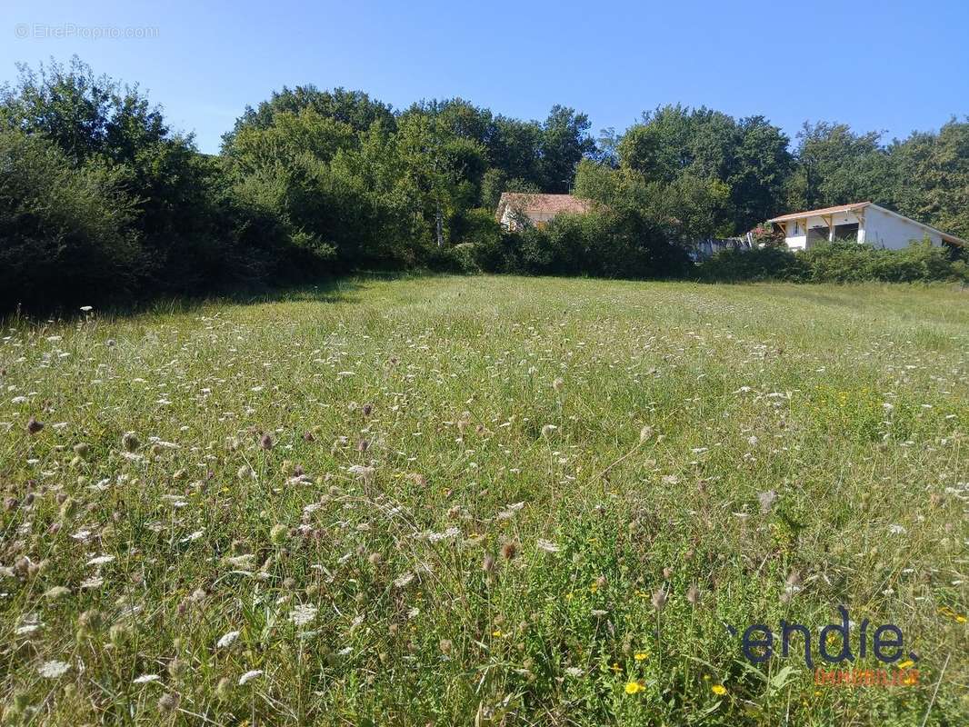 Terrain à SAINTE-COLOMBE