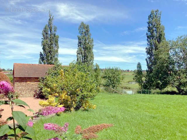 Maison à SAINT-CHRISTOPHE-EN-BRIONNAIS