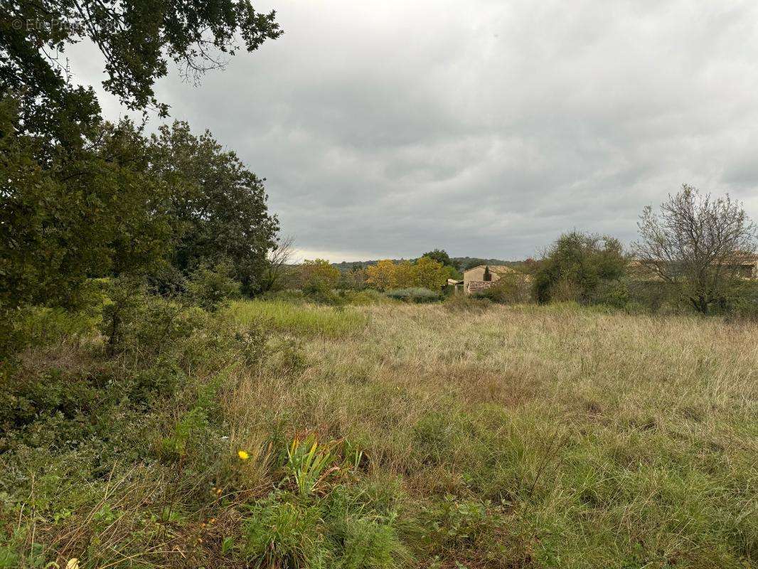 Terrain à LA BRUGUIERE