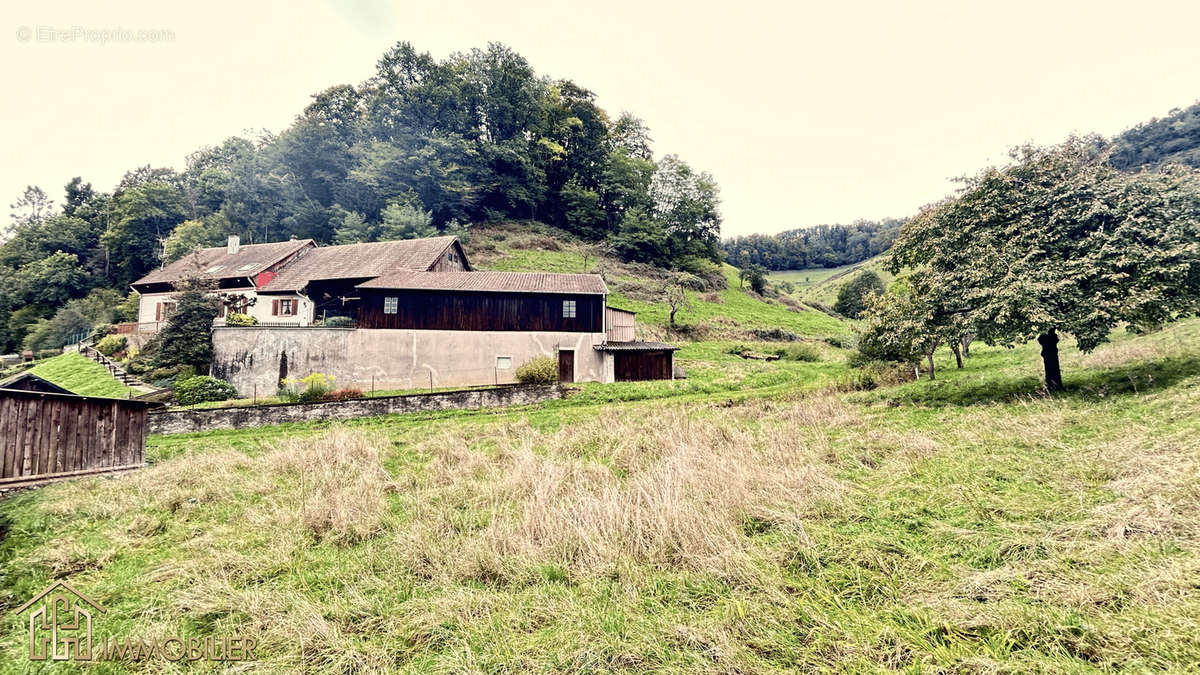 Maison à SAINTE-MARIE-AUX-MINES