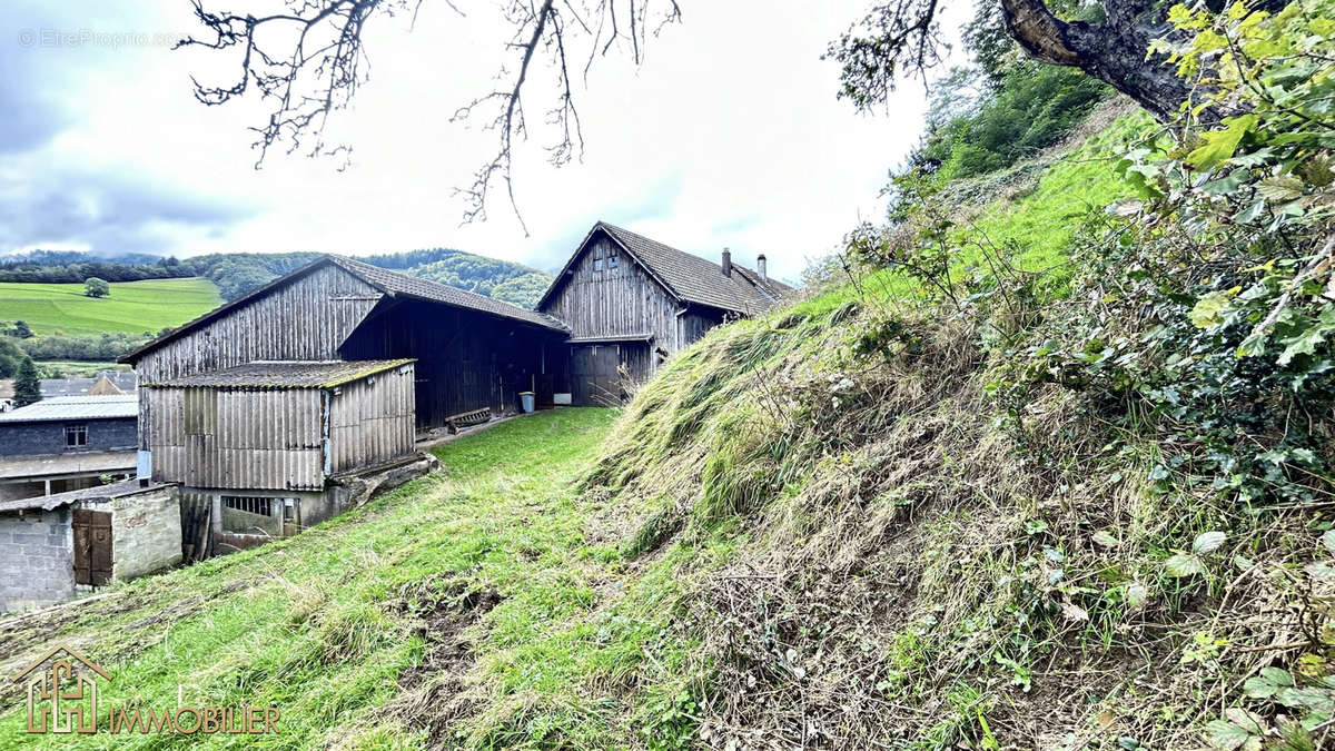 Maison à SAINTE-MARIE-AUX-MINES