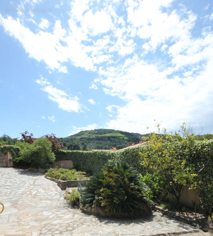 Maison à COLLIOURE