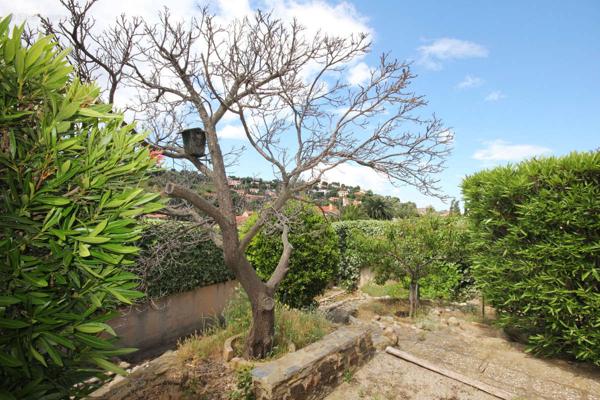 Maison à COLLIOURE