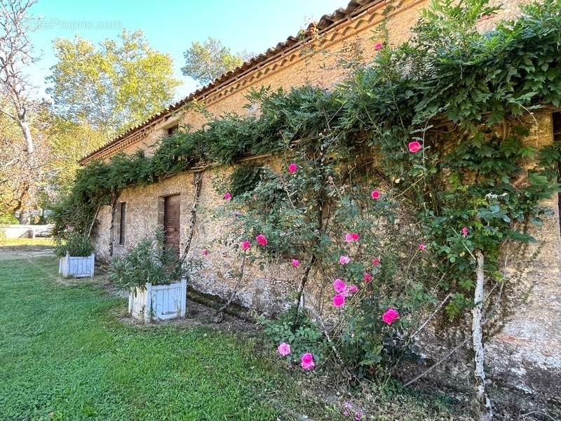 Maison à AIRE-SUR-L&#039;ADOUR