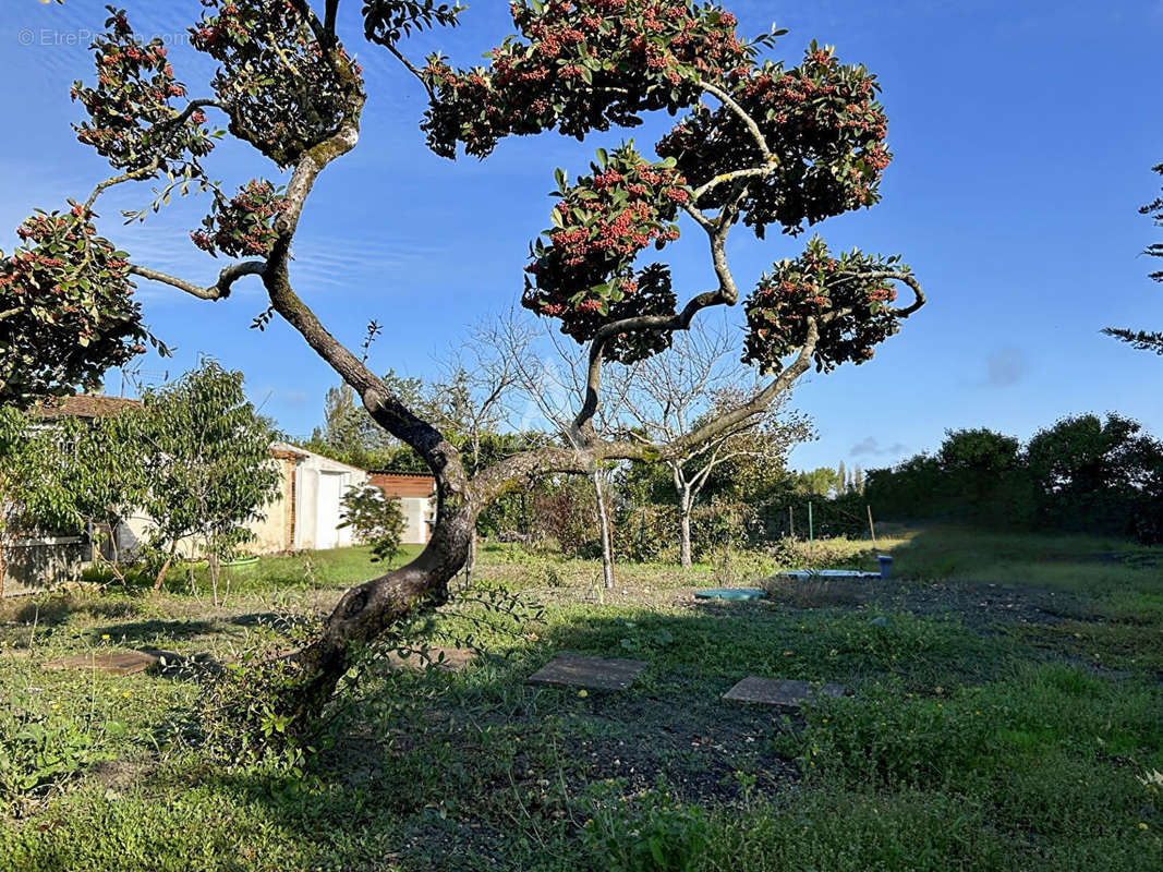 Maison à L&#039;ILE-D&#039;ELLE