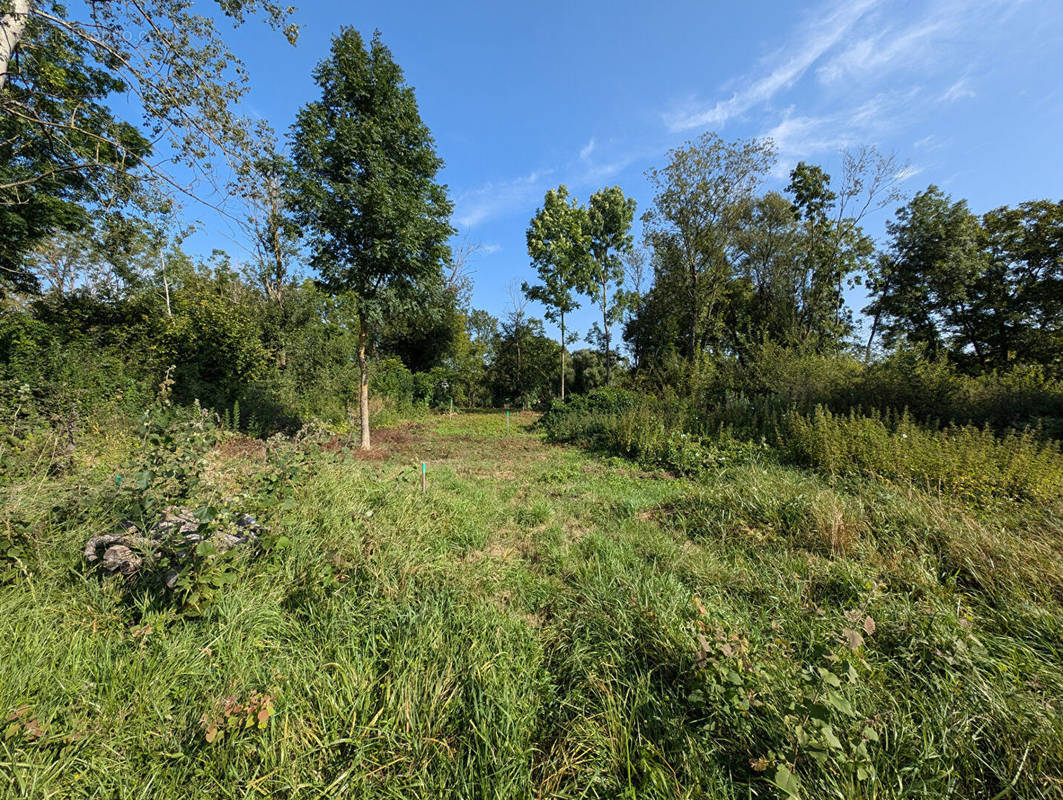 Terrain à DOMPAIRE