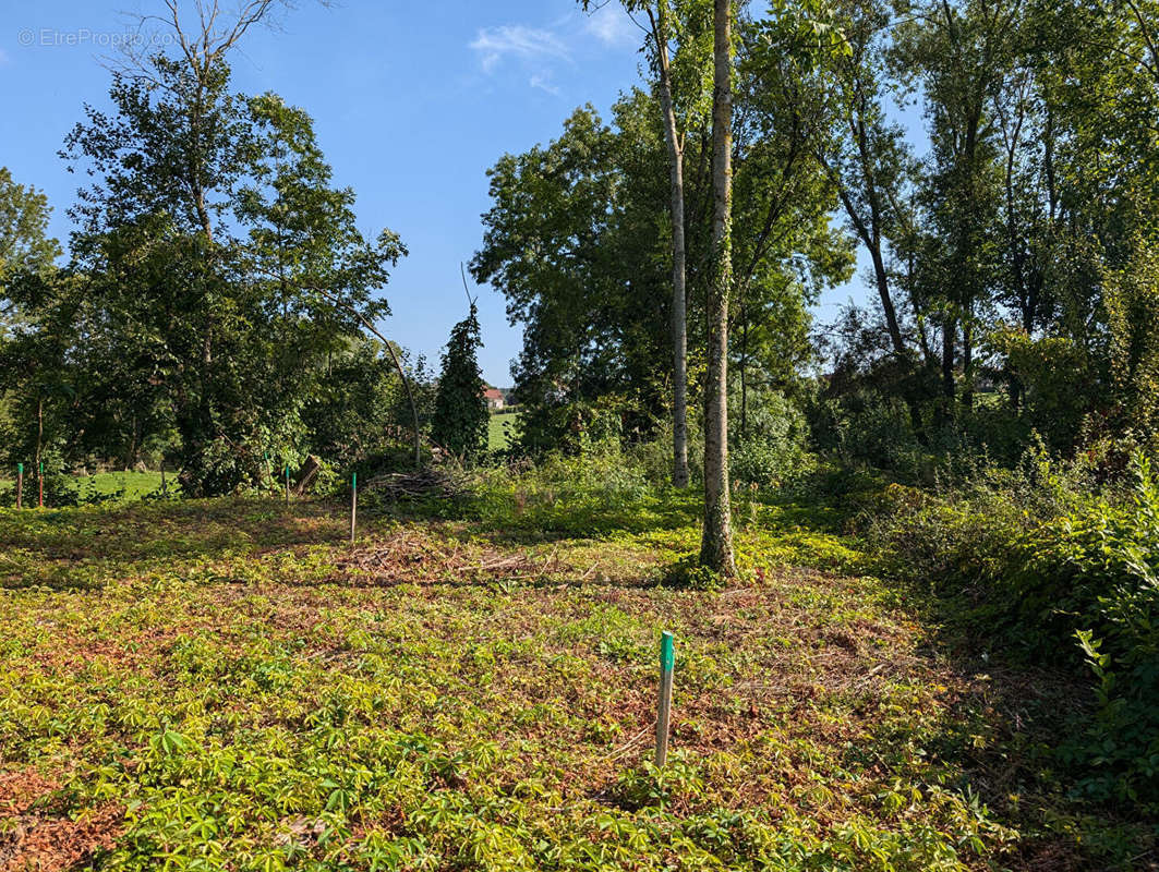 Terrain à DOMPAIRE