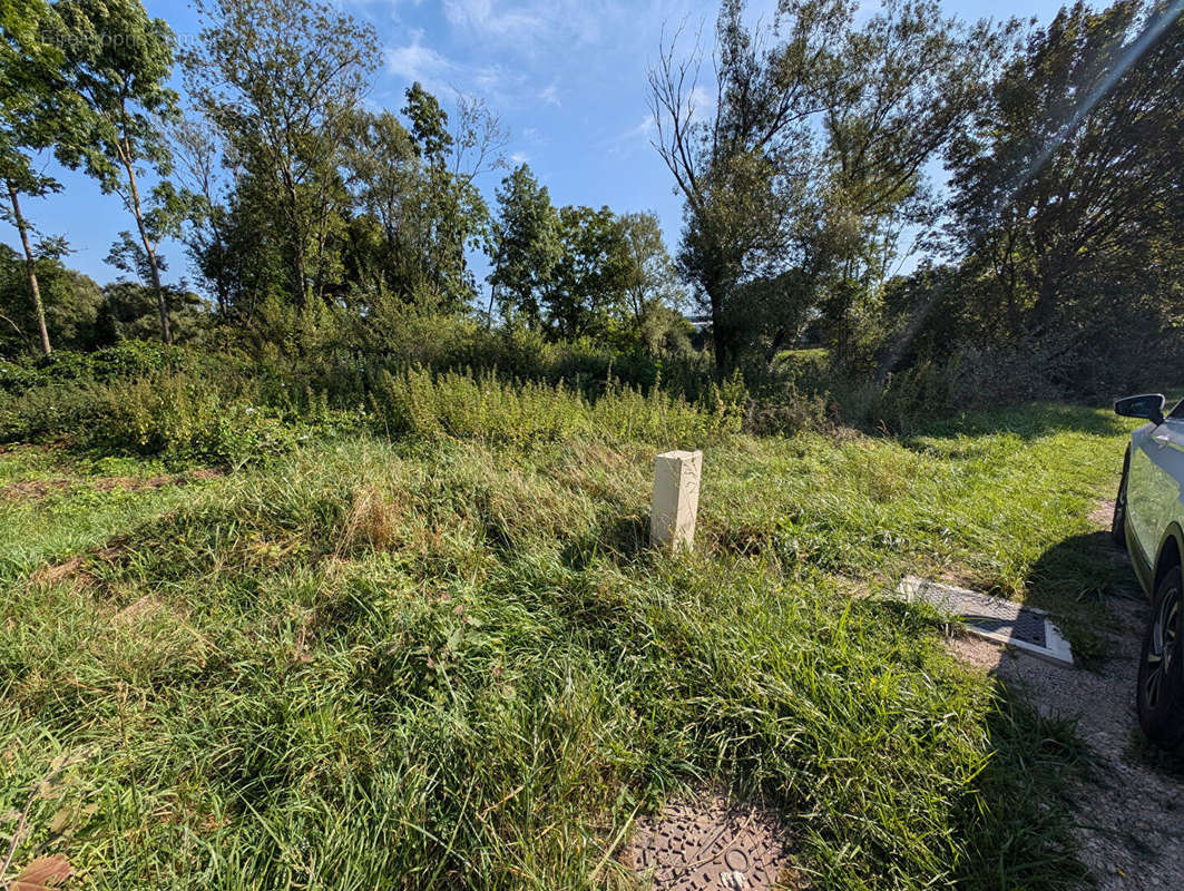 Terrain à DOMPAIRE