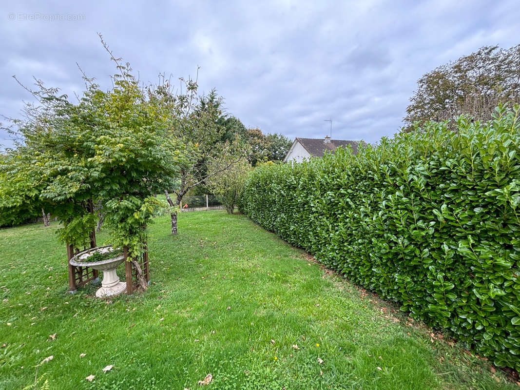 Maison à DOMPIERRE-SUR-BESBRE