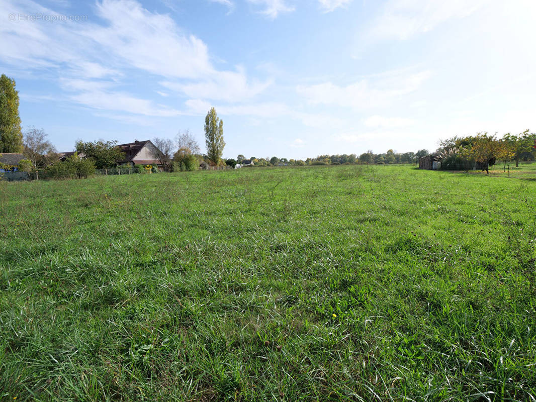 Terrain à SAVONNIERES